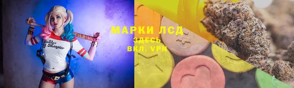 дживик Вяземский